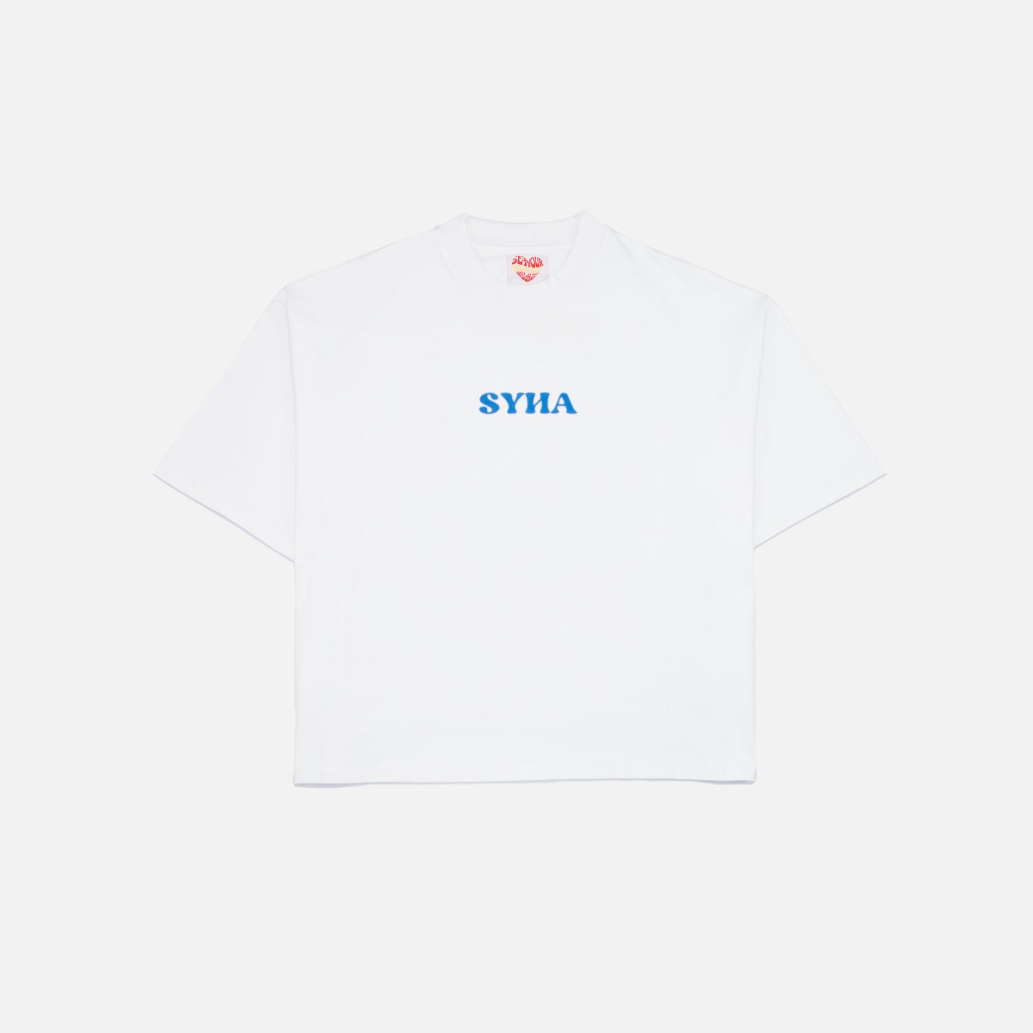 Guardian Tee - White (Oversized Boxy & Cropped Fit)
